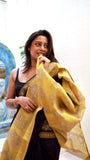 The Midnight Gilded Sun: A Masterpiece of Maheshwari Silk & Heritage Zari - TITAFU